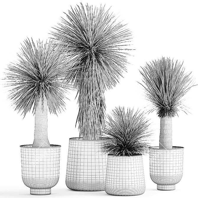 Exotic Metal Plant Collection: Yucca Rostrata, Reclaimed Artizan Iron Coppa Pot 3D model image 7