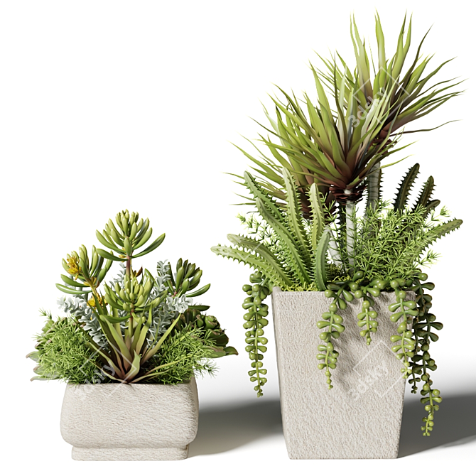 square succulent bouquets in pots 3D model image 2