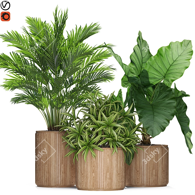 Exquisite Plants Set #549 3D model image 1