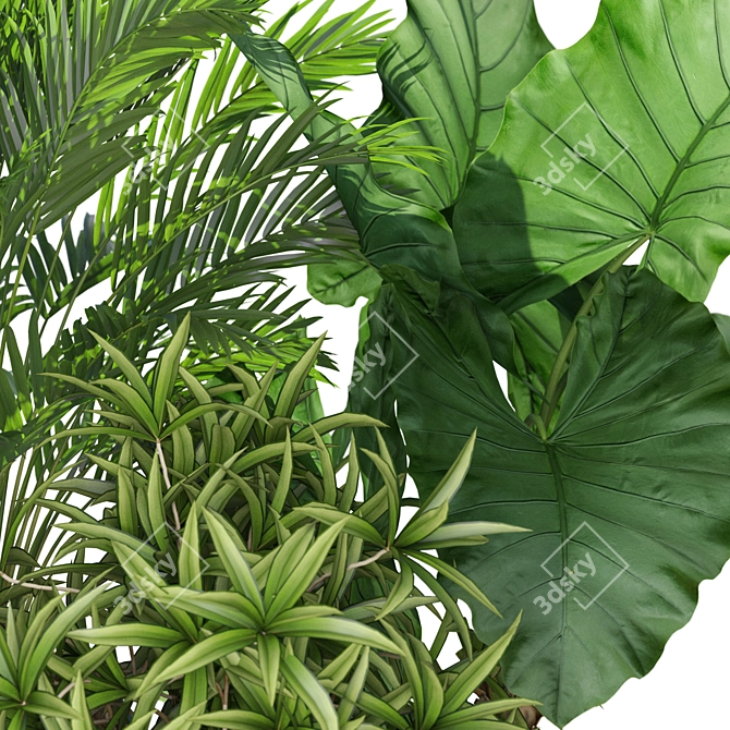 Exquisite Plants Set #549 3D model image 2