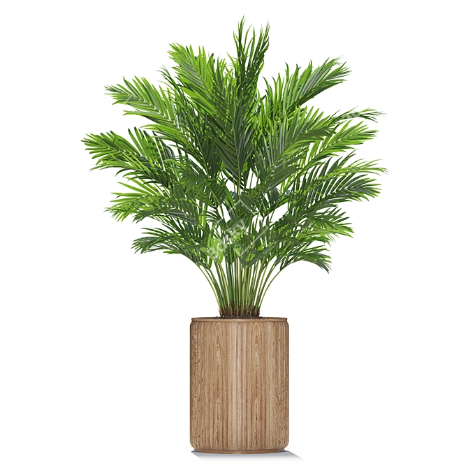 Exquisite Plants Set #549 3D model image 3