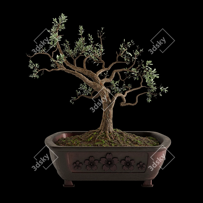 Bonsai Tree Design with Pot 3D model image 2