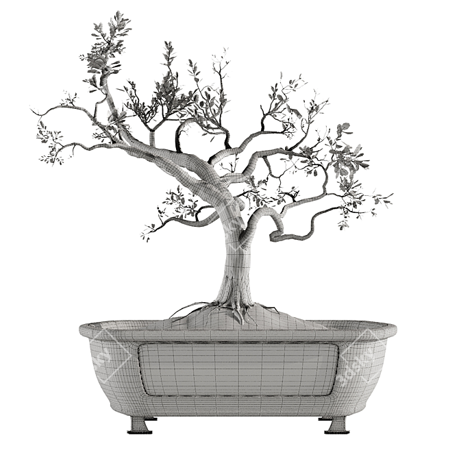 Bonsai Tree Design with Pot 3D model image 3