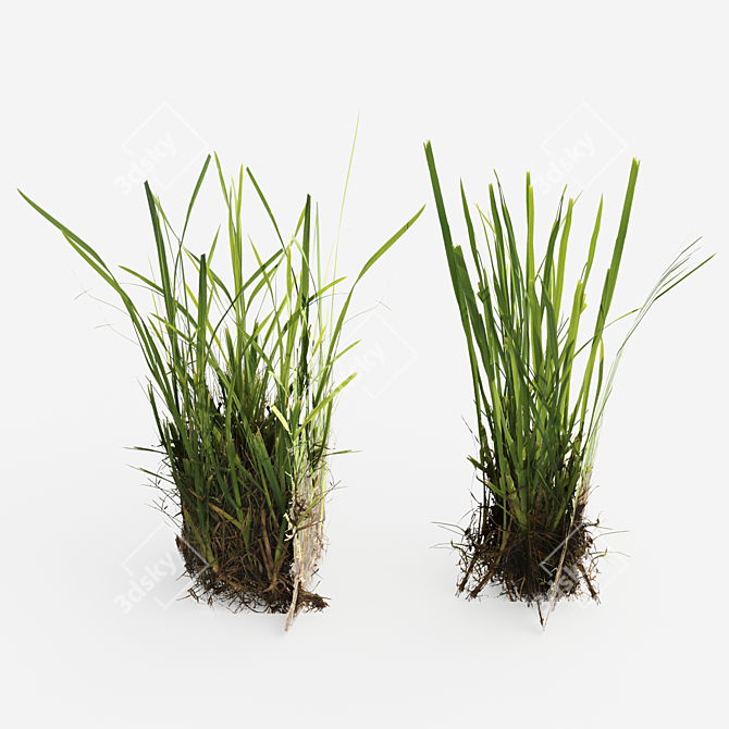 Deluxe Decorative Grass Mat: Realistic 3D Design 3D model image 4