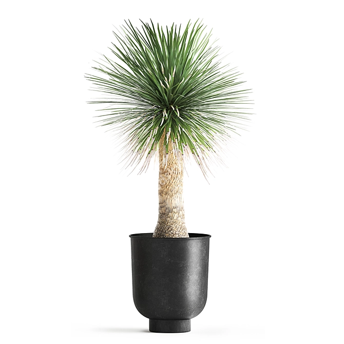 Tropical Plant Collection: Exotic Yucca in Vig Planter 3D model image 5