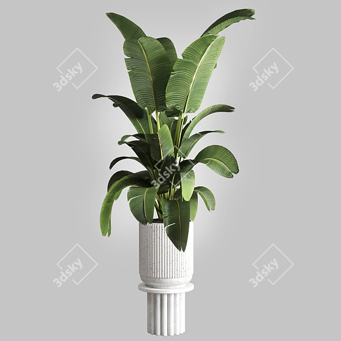 Concrete Vase Indoor Plant 3D model image 1