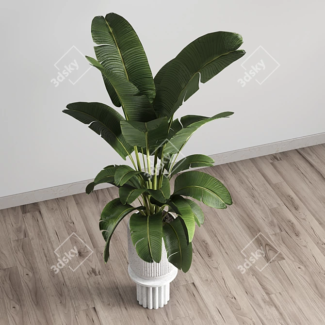 Concrete Vase Indoor Plant 3D model image 4