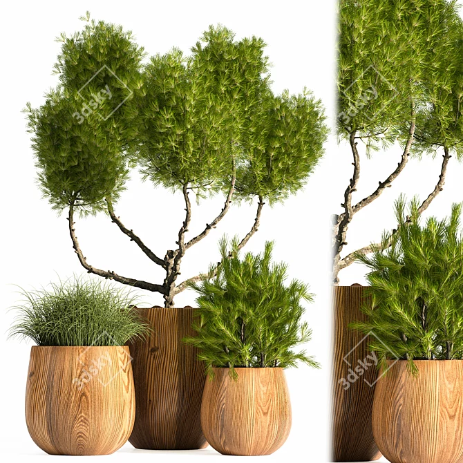 Modern Indoor Plant Stand 12: Stylish & Functional 3D model image 1