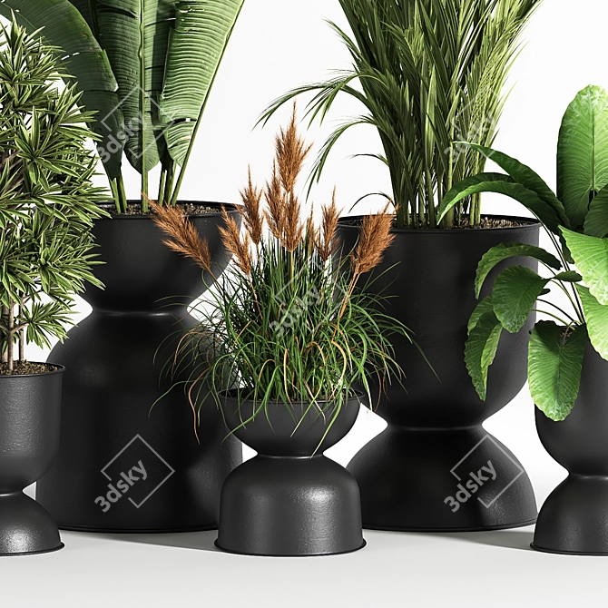 Sleek Indoor Plant Set 06 3D model image 2