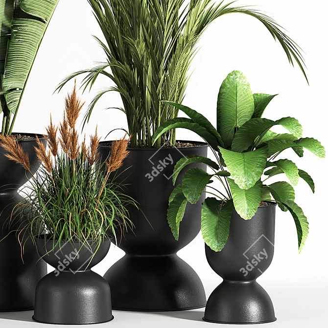 Sleek Indoor Plant Set 06 3D model image 4