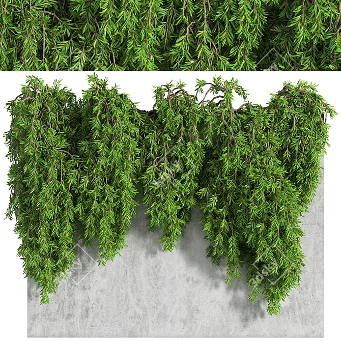 3D Ivy Wall Decor with Multiple Formats 3D model image 1