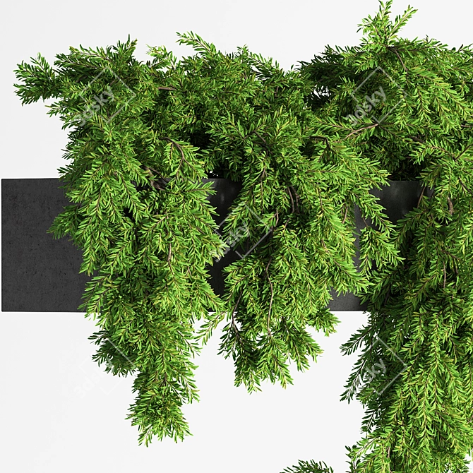 Elevate your garden with Hanging Plant Planter Box 3D model image 4