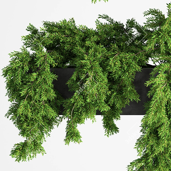 Elevate your garden with Hanging Plant Planter Box 3D model image 5