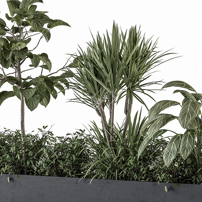 Green Oasis: Indoor Plant Set 3D model image 5