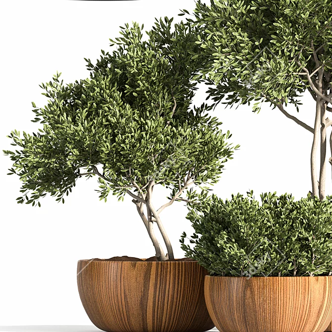 Rustic Trio: 3 Shrubs in Wooden Pot 3D model image 4