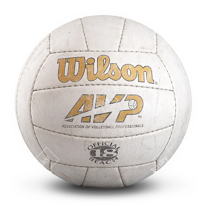 Wilson Cast Away Ball 3D model image 4