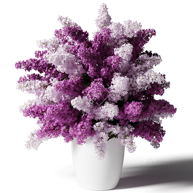 Elegant Pink and White Lilacs 3D model image 1