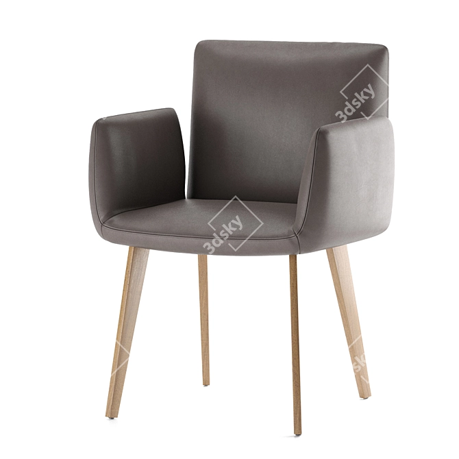 Elegant Jamis Armchair: Jehs & Laub Design 3D model image 2