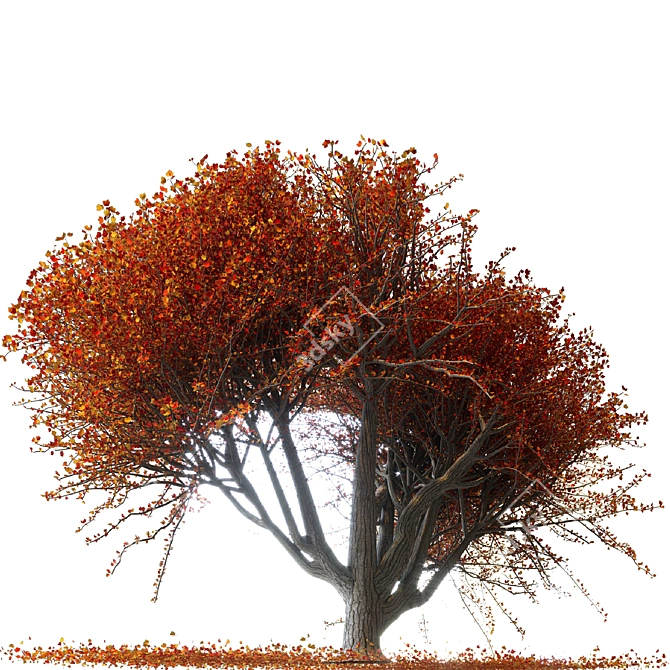 Autumn Vibes Maple Tree 3D model image 2