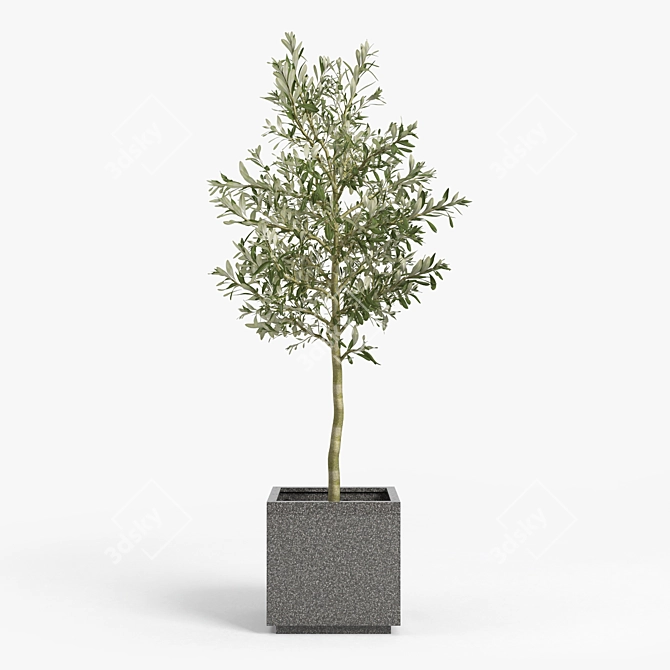 Modern Gray Rectangular Planter 3D model image 1