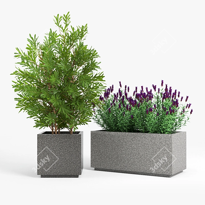 Modern Gray Rectangular Planter 3D model image 3