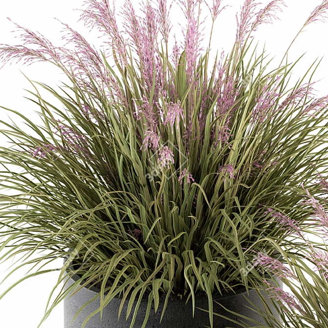 Grassy Delight: Outdoor Plant Set 3D model image 3