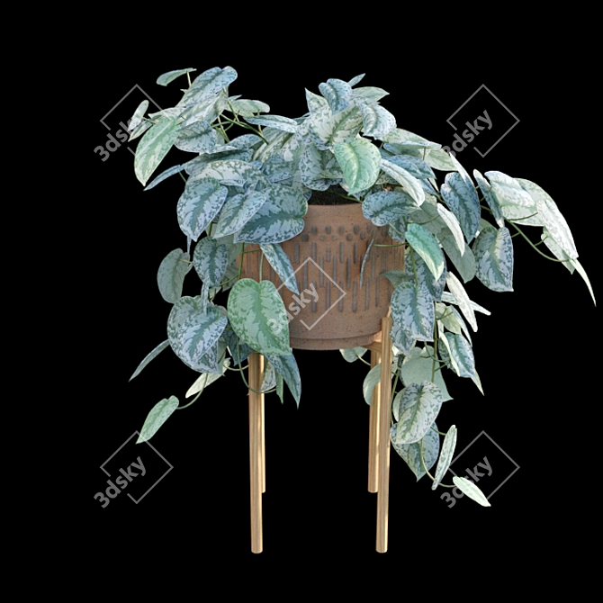 Tropical Charm: Scindapsus Pictus Satin Pothos 3D model image 3