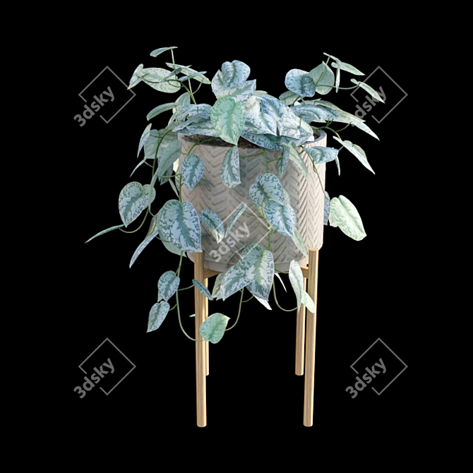 Tropical Charm: Scindapsus Pictus Satin Pothos 3D model image 4