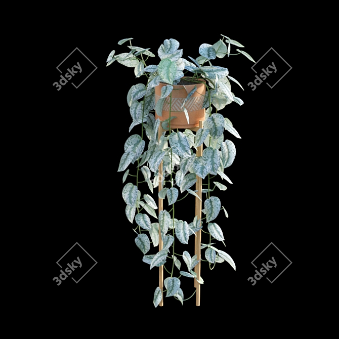 Tropical Charm: Scindapsus Pictus Satin Pothos 3D model image 5