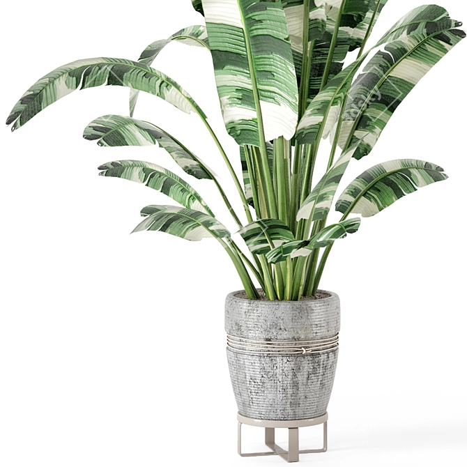 Rustic Indoor Plant Set - Concrete Pot 3D model image 4