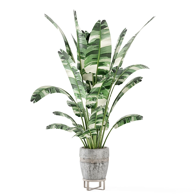 Rustic Indoor Plant Set - Concrete Pot 3D model image 5