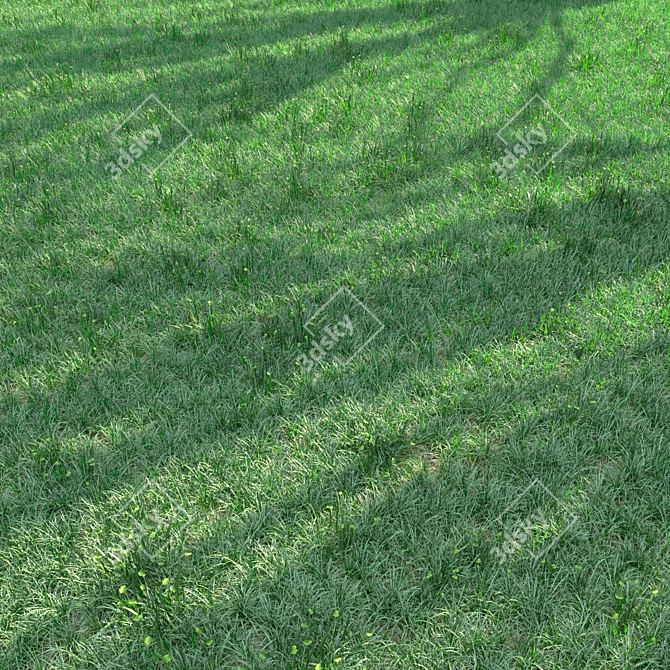 Lush Green Landscape Delight 3D model image 1