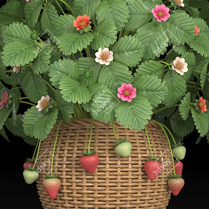 Indoor Strawberry Plant: Fresh, Tasty, and Convenient! 3D model image 2