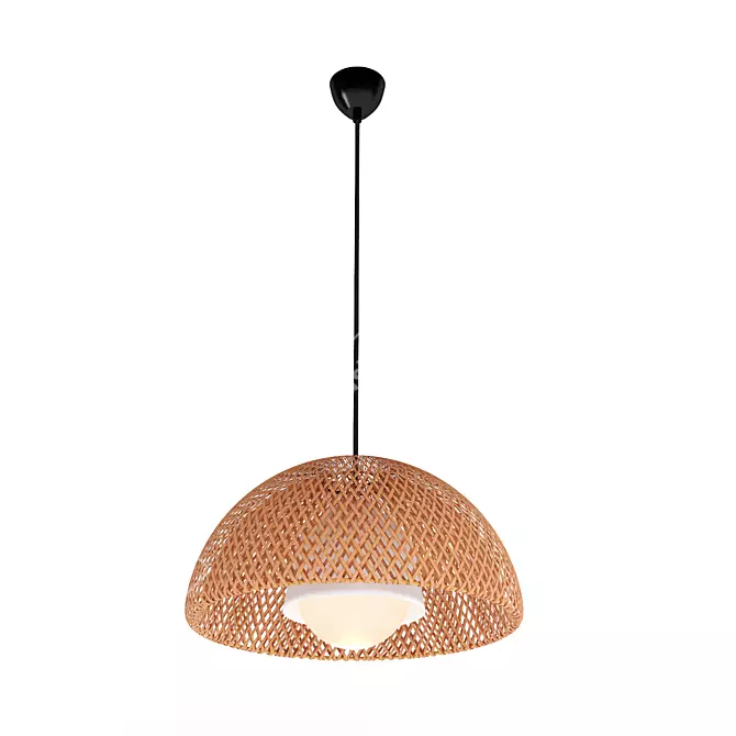 Organic Bamboo Pendant Lamp 3D model image 1