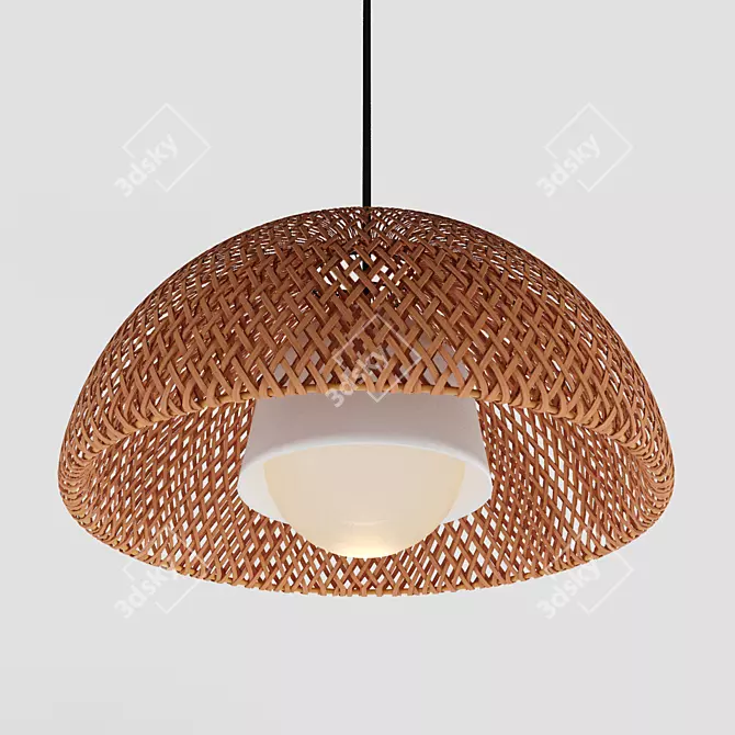 Organic Bamboo Pendant Lamp 3D model image 2