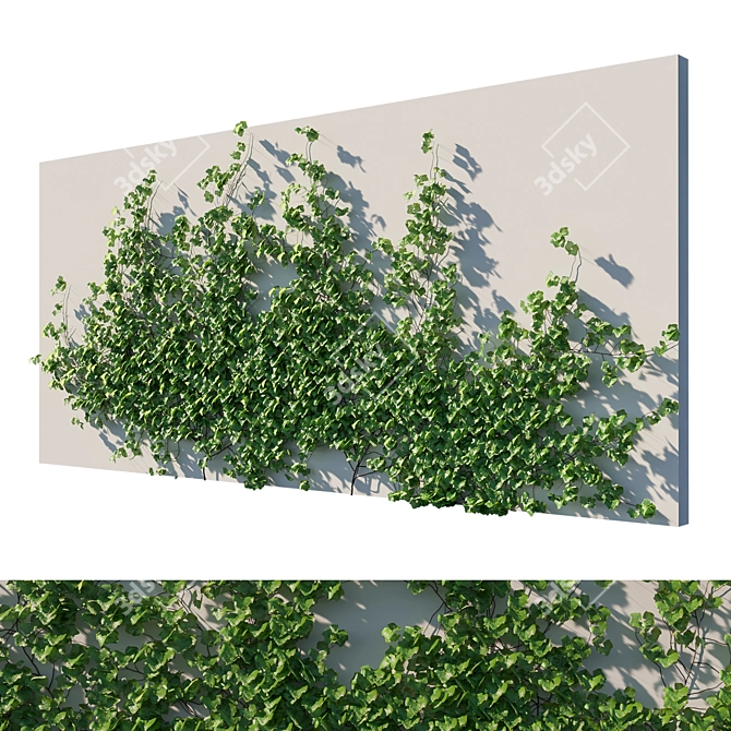 Lush Vitis Coignetiae Vines 3D model image 1