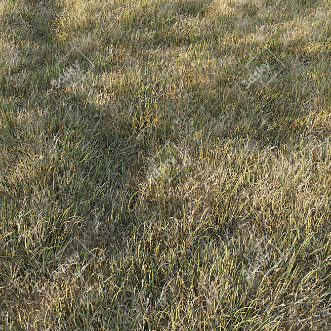Grass Collection 6: Low Poly 3D Scattered Art 3D model image 1