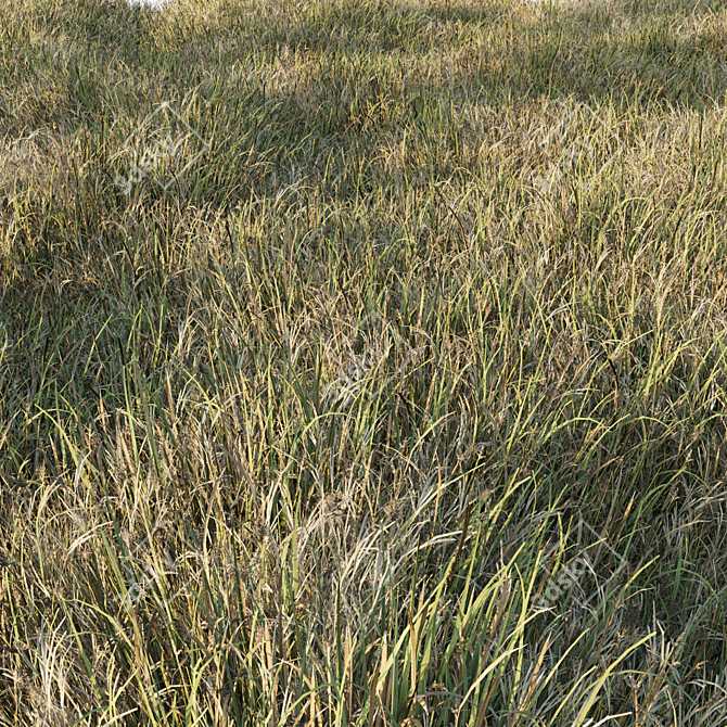 Grass Collection 6: Low Poly 3D Scattered Art 3D model image 2