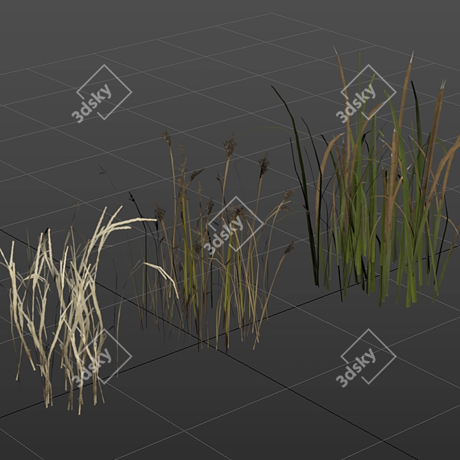 Grass Collection 6: Low Poly 3D Scattered Art 3D model image 4