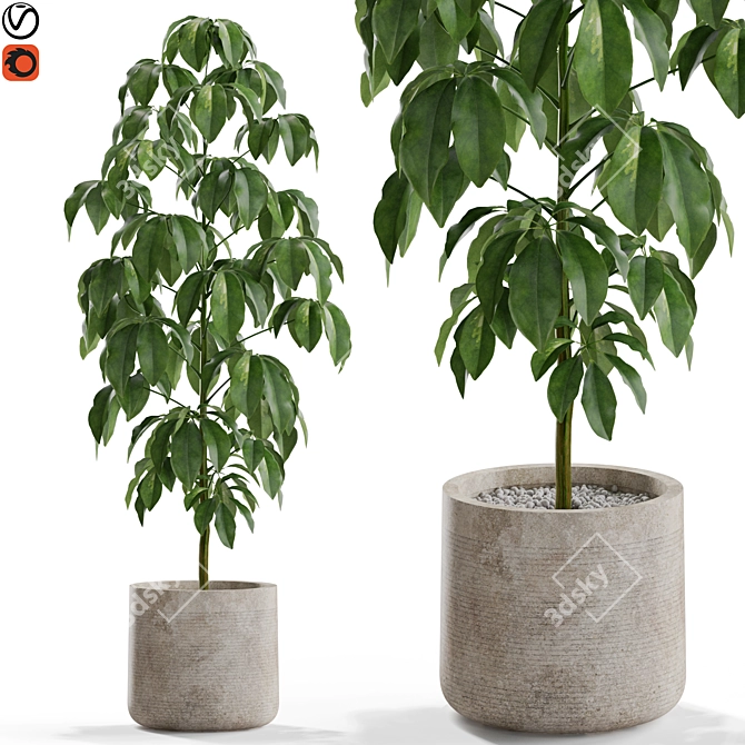 Botanical Bliss: 554 Plant Collection 3D model image 1