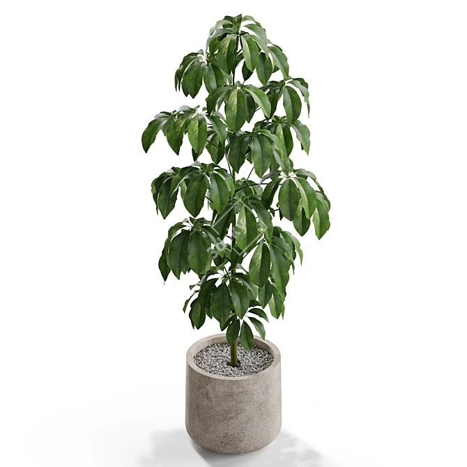 Botanical Bliss: 554 Plant Collection 3D model image 2