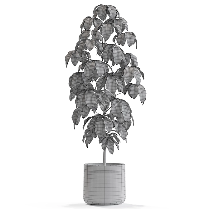 Botanical Bliss: 554 Plant Collection 3D model image 3