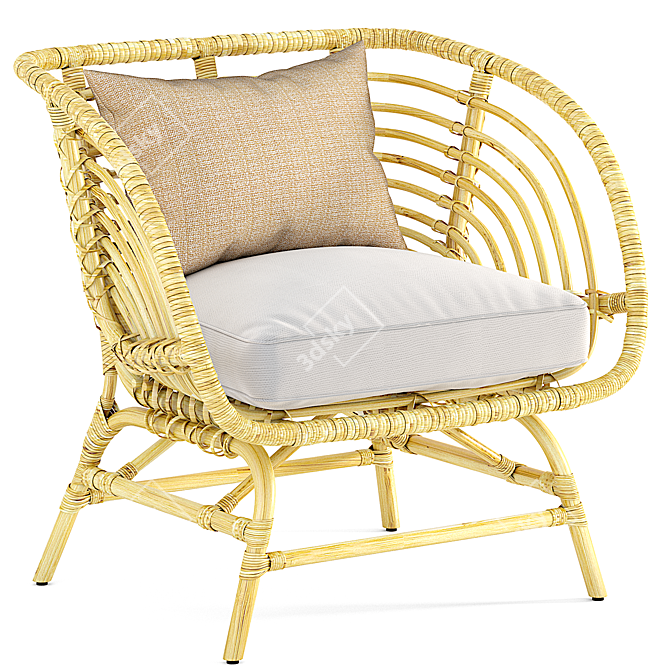 Natural Rattan Armchair: IKEA BUSKBO 3D model image 1