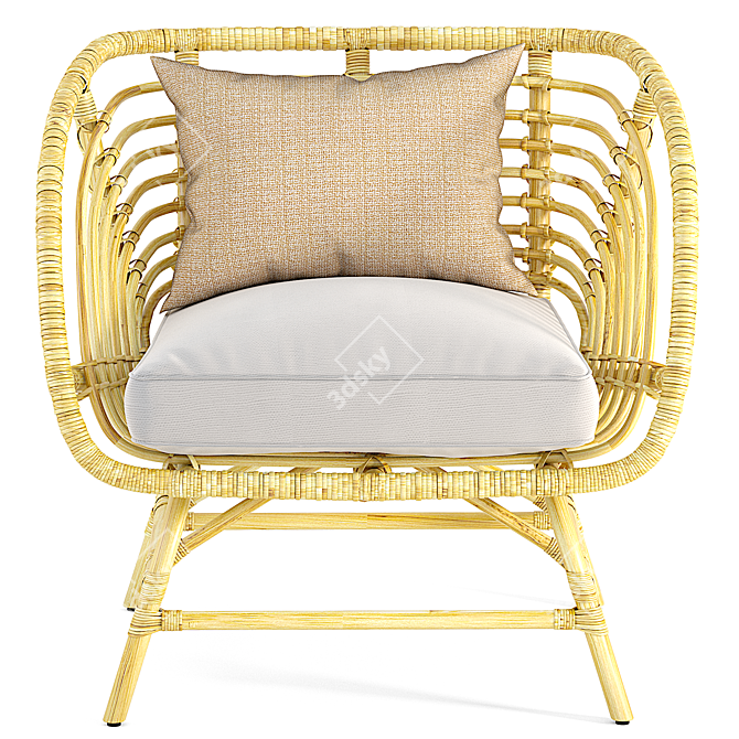 Natural Rattan Armchair: IKEA BUSKBO 3D model image 2