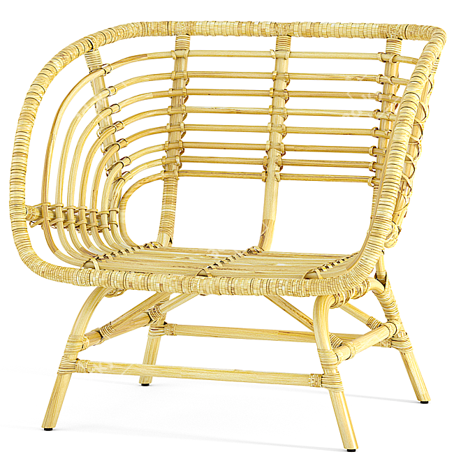 Natural Rattan Armchair: IKEA BUSKBO 3D model image 4