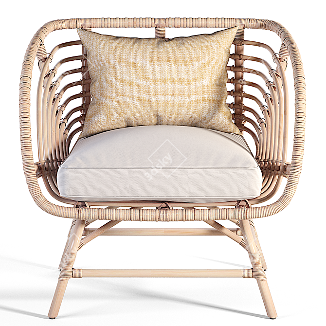 Natural Rattan Armchair: IKEA BUSKBO 3D model image 7