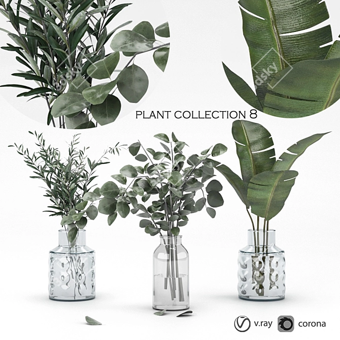 Greenery Collection: High-Quality 3D Plants 3D model image 1