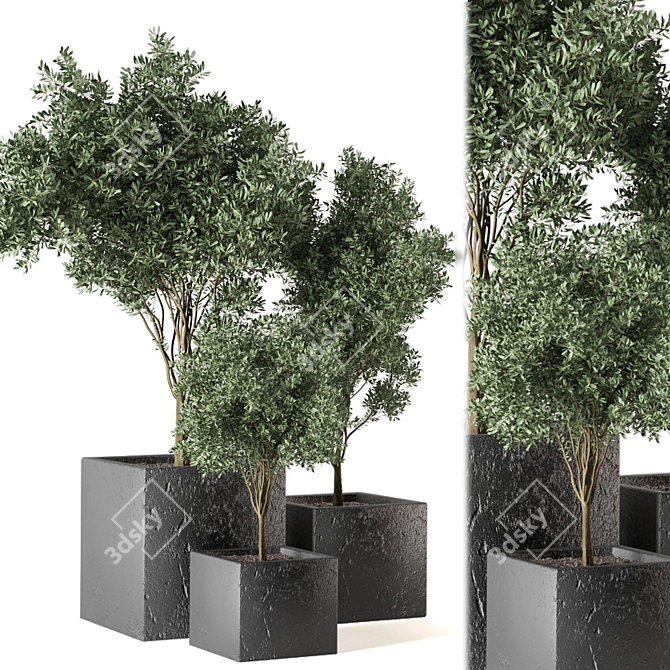 Green Oasis Outdoor Plant Set 3D model image 2