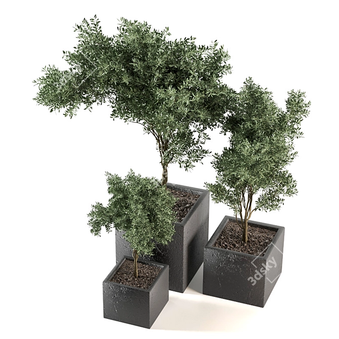 Green Oasis Outdoor Plant Set 3D model image 3