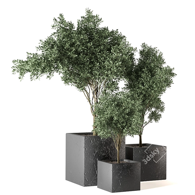 Green Oasis Outdoor Plant Set 3D model image 4